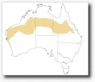 Australie, climat détaillé, zone très chaude et sèche avec des hivers doux | Australia, detailed climate, the hot dry zone with warm winter