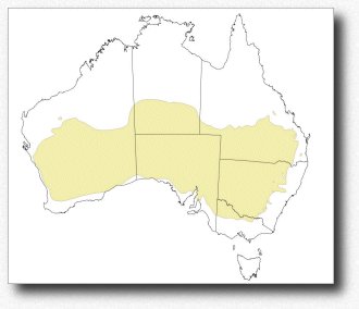 Australie, climat détaillé, la zone chaude et sèche avec des hivers frais | Australia, detailed climate, the hot dry zone with cooler winter