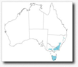 Australie, climat détaillé, la zone tempérée froide (étés doux à chauds, hivers froids à très froids) | Australia, detailed climate, the cool temperate zone (mild to warm summer, cold winter)