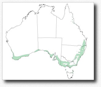 Australie, climat détaillé, la zone tempérée (étés chauds, hivers froids) | Australia, detailed climate, the temperate zone (warm summer, cool winter)