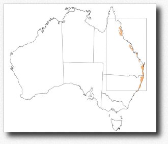 Australie, climat détaillé, la zone chaude et humide | Australia, detailed climate, the warm humid zone