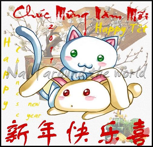 Joyeux Têt 2009 | Happy Tet 2009 | Chúc Mừng Năm Mới 2009!