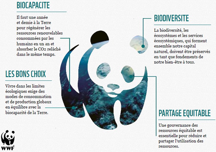 Synthèse rapport planète vivante 2012 | Living Planet Synthesis Report 2012