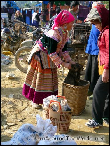 Chiots en vente pour consommation | Puppies to sell for consuption