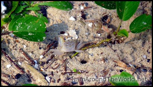 Sur la plage de Lang Co | At Lang Co beach