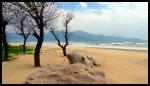 Da Nang Cliquez pour voir la galerie | Click to view the gallery