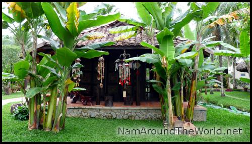 Jardin tropical | Tropical garden