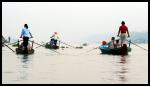 Mekong Delta Cliquez pour voir la galerie | Click to view the gallery
