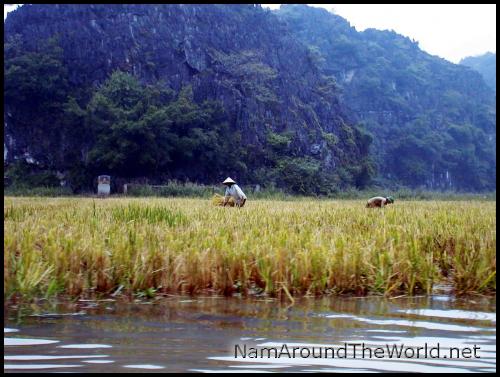 Ninh Binh : la baie d'Halong terrestre | Ninh Binh: terrestrial Ha Long bay