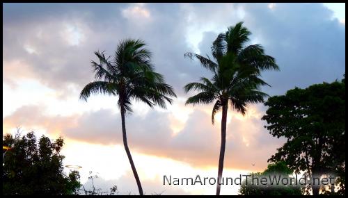 Cairns, QLD, au lagon | Cairns, QLD, at the lagoon