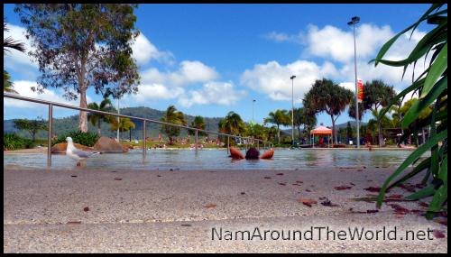 Airlie Beach lagon | Lagoon