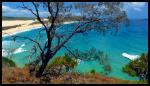 Cote Est Fraser Island Cliquez pour voir la galerie | Click to view the gallery