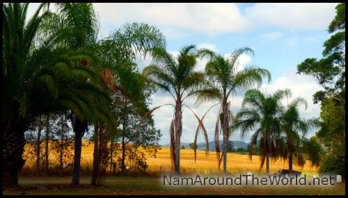 Aire de repos gratuite, entre Fraser island et Brisbane | Free rest area, between Fraser Island and Brisbane Aire de repos gratuite, entre Fraser island et Brisbane | Free rest area, between Fraser Island and Brisbane